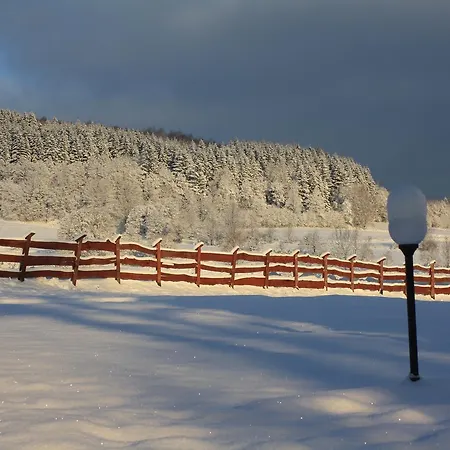 Dom Na Klonowym Wzgorzu 3* Stronie Śląskie