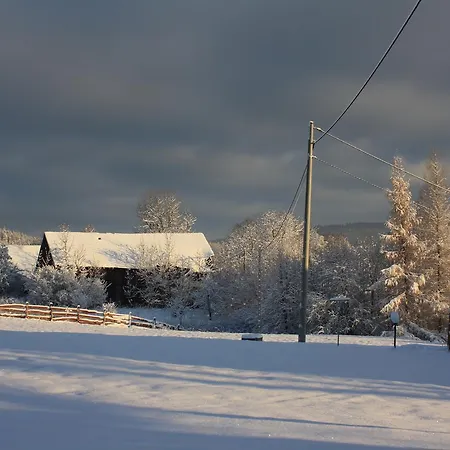 Dom Na Klonowym Wzgorzu 3* Stronie Śląskie