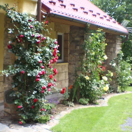 Dom Na Klonowym Wzgorzu B&B Stronie Śląskie