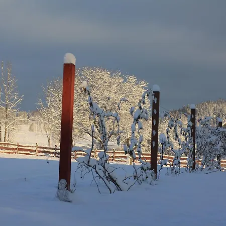 Dom Na Klonowym Wzgorzu 3*