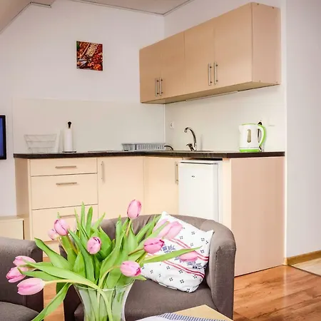 Dom Na Klonowym Wzgórzu 3* Stronie Śląskie