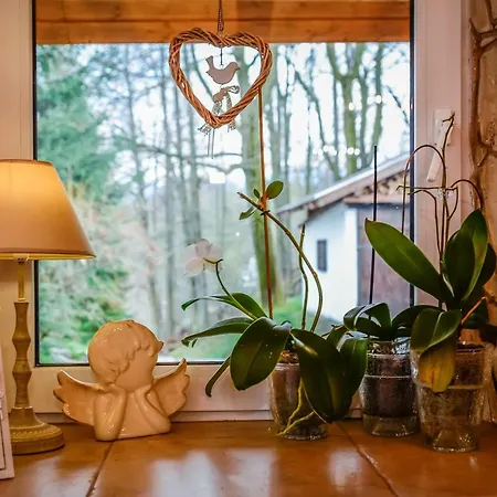 B&B Dom Na Klonowym Wzgorzu Stronie Śląskie