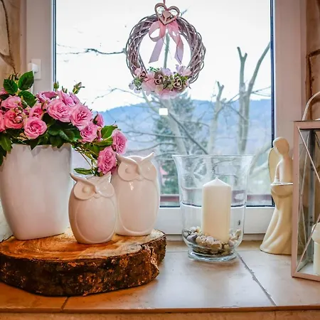 Dom Na Klonowym Wzgorzu 住宿加早餐酒店 Stronie Śląskie