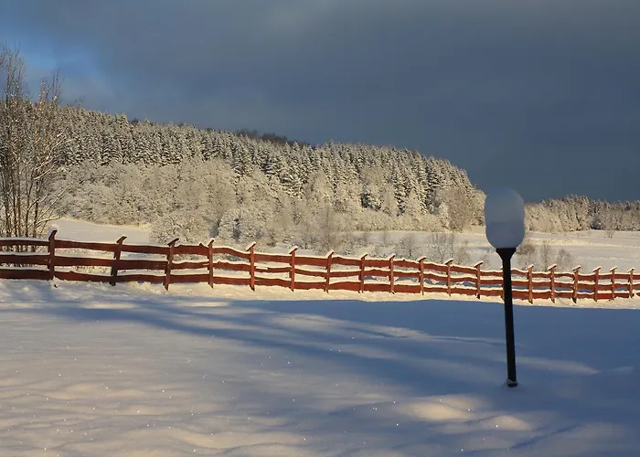 Dom Na Klonowym Wzgórzu 3* Stronie Śląskie