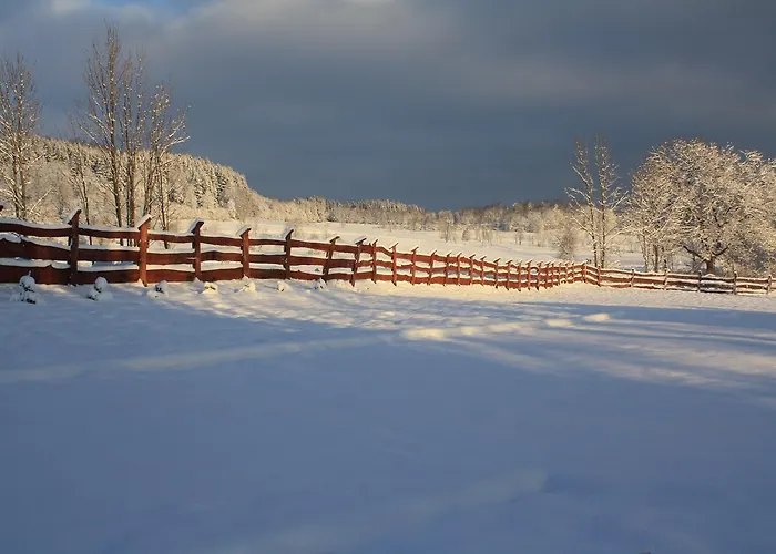 Dom Na Klonowym Wzgórzu 3* Stronie Śląskie