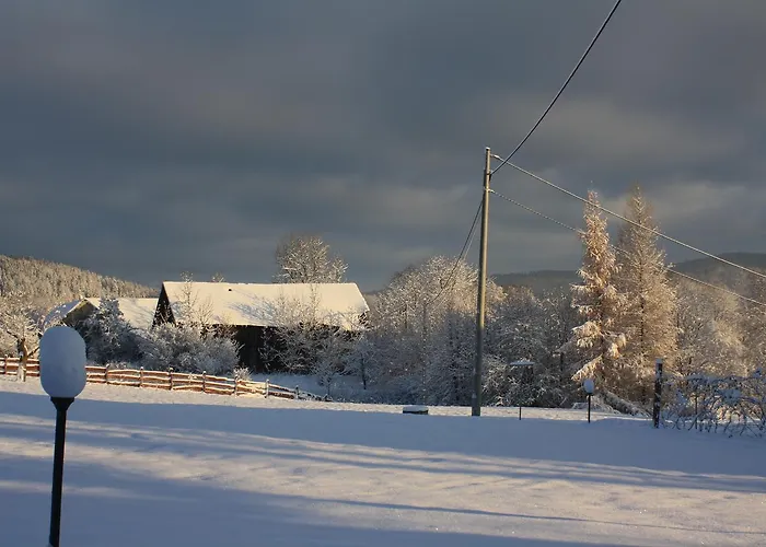 Dom Na Klonowym Wzgórzu 3* Stronie Śląskie