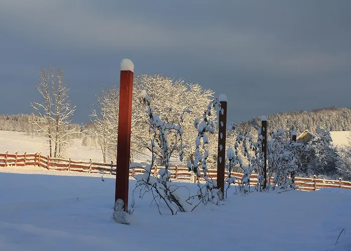 Dom Na Klonowym Wzgórzu 3*