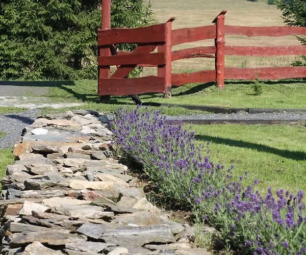 Nocleg ze śniadaniem Dom Na Klonowym Wzgórzu 3*